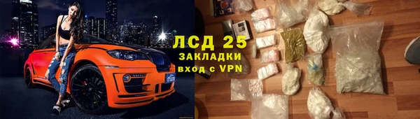 шишки Арсеньев