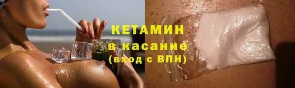 шишки Арсеньев