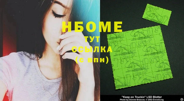шишки Беломорск