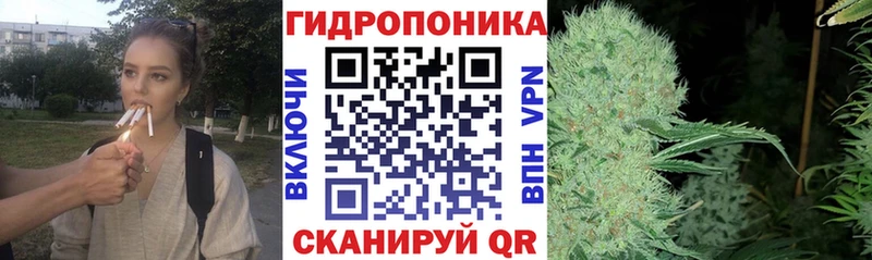Канабис гибрид  Майский 